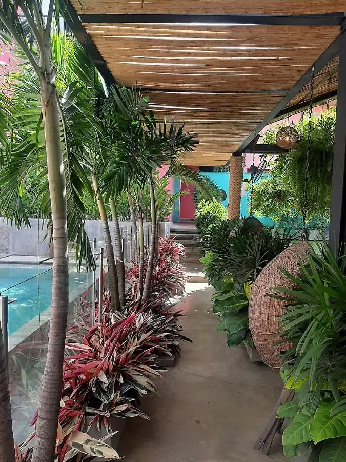 Rossa Palma Hotell Cali Colombia