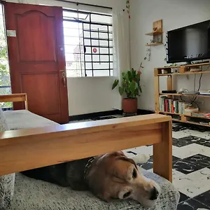 Hostel Selvatica Eco (adults Only) Medellín